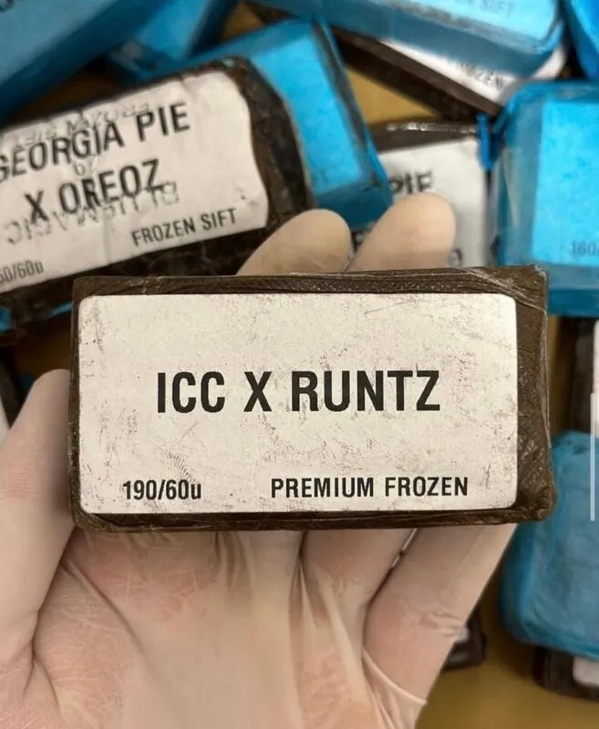 Haschisch Kaufen Schweiz Haschisch Kaufen Schweiz