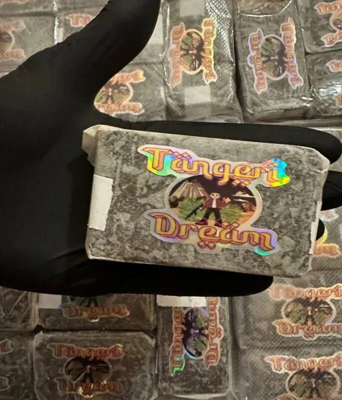 Tangerine Dream Filtered Hash Tangerine Dream Filtered Hash
