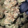 Cereal Milk Cali