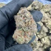 Gelato Strain