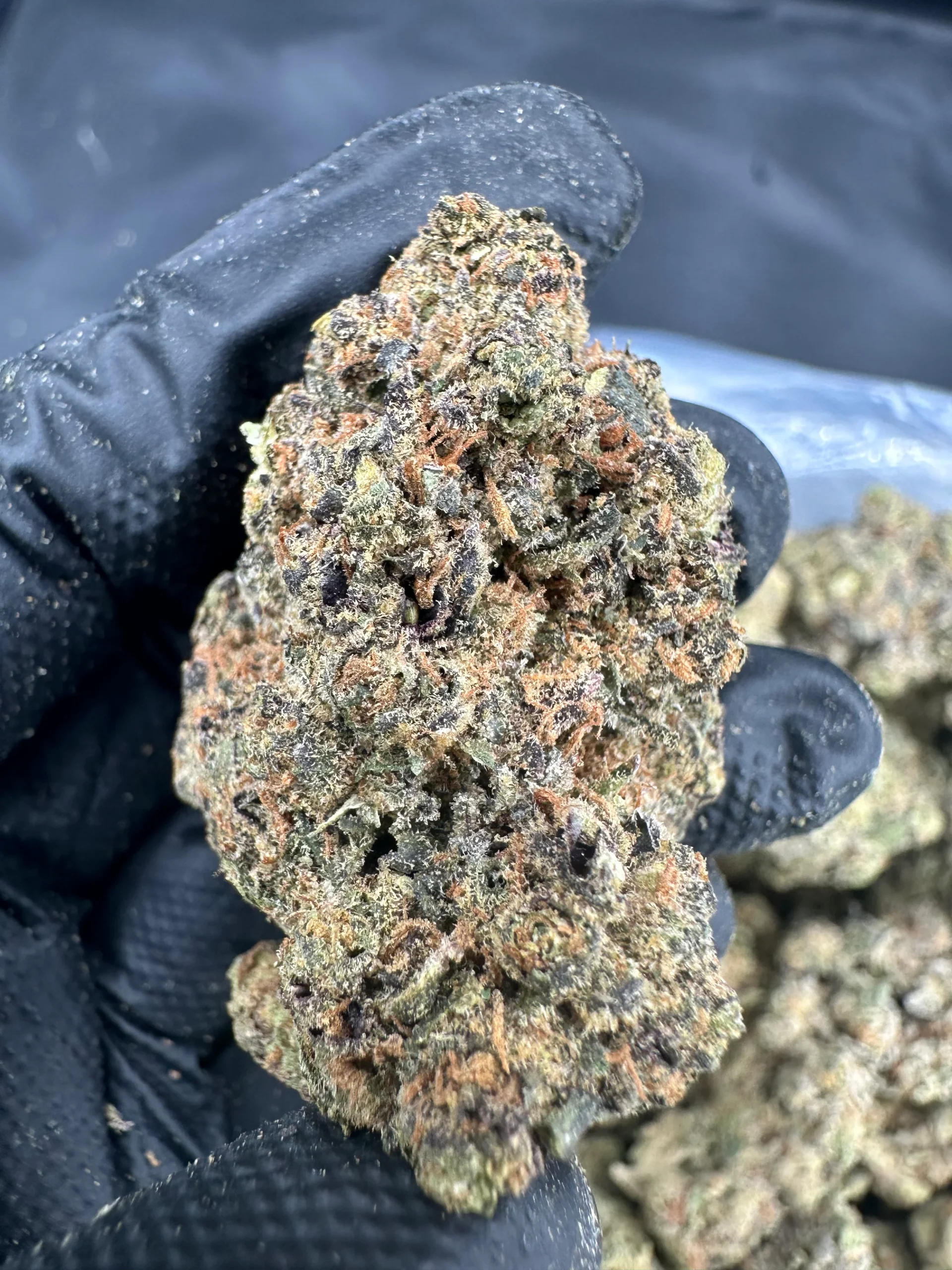 Ice Cream Cake Strain Ice Cream Cake Strain