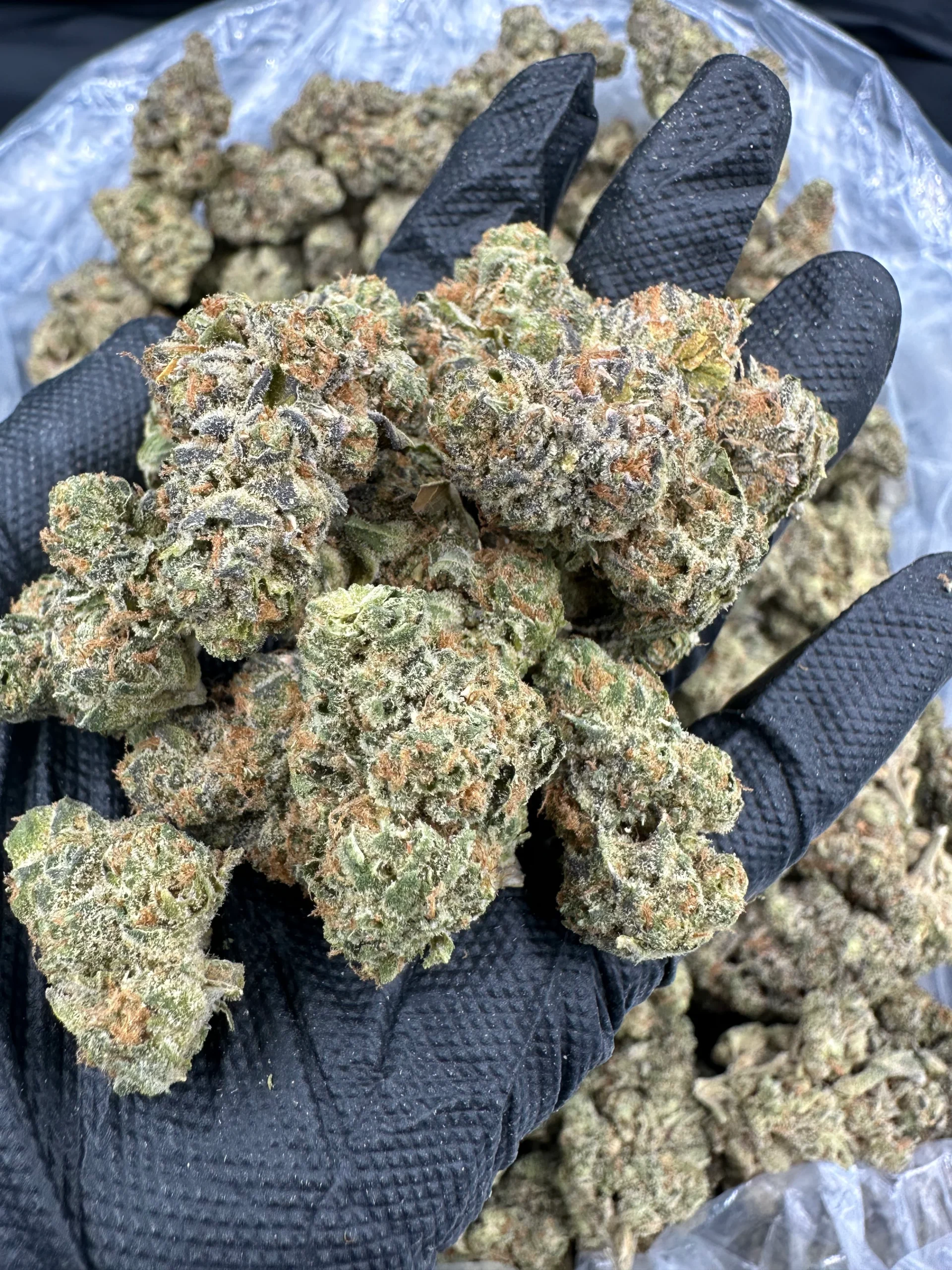Pineapple Express Strain Pineapple Express Strain