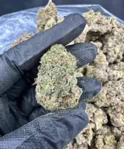 Rainbow Sherbert