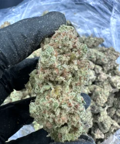 Sunset Sherbet
