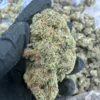 biscotti strain