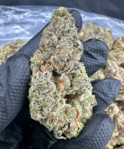 gorilla glue #4
