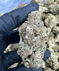 oreoz strain